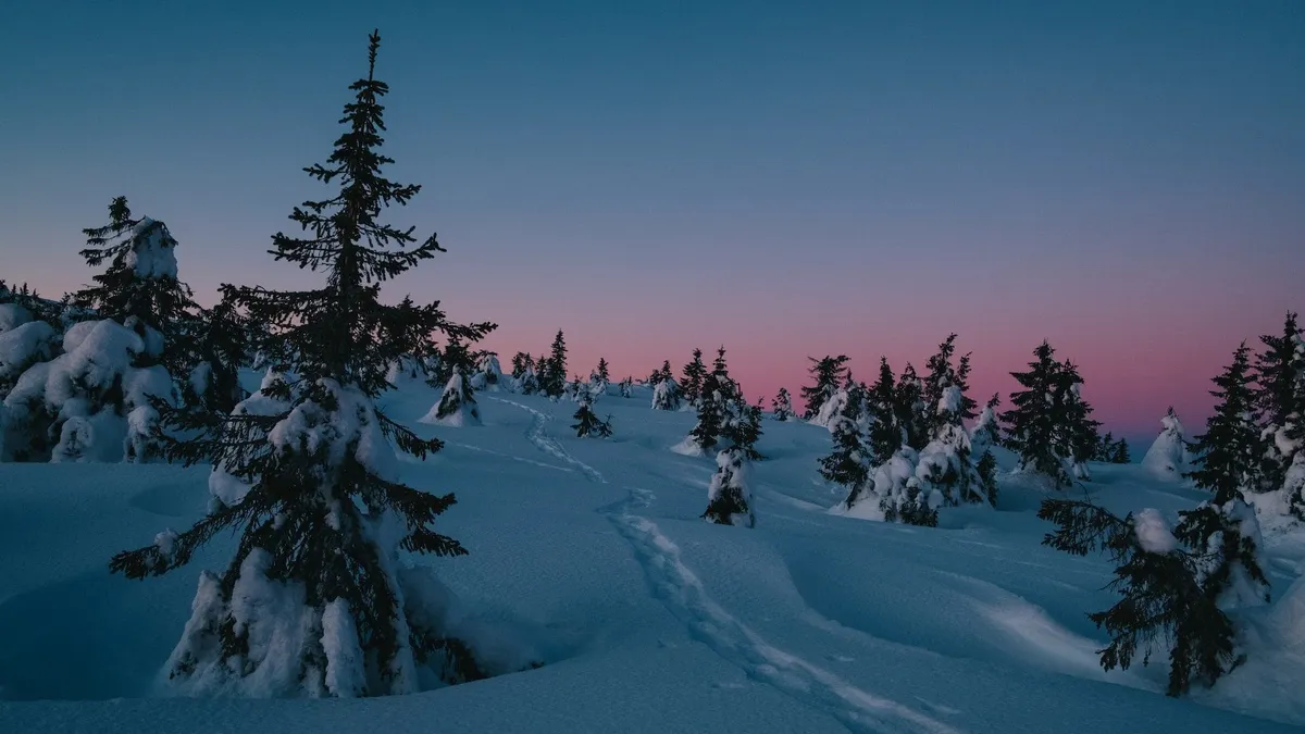 Inspiration and topics discussed in our MB.io tech community in January
