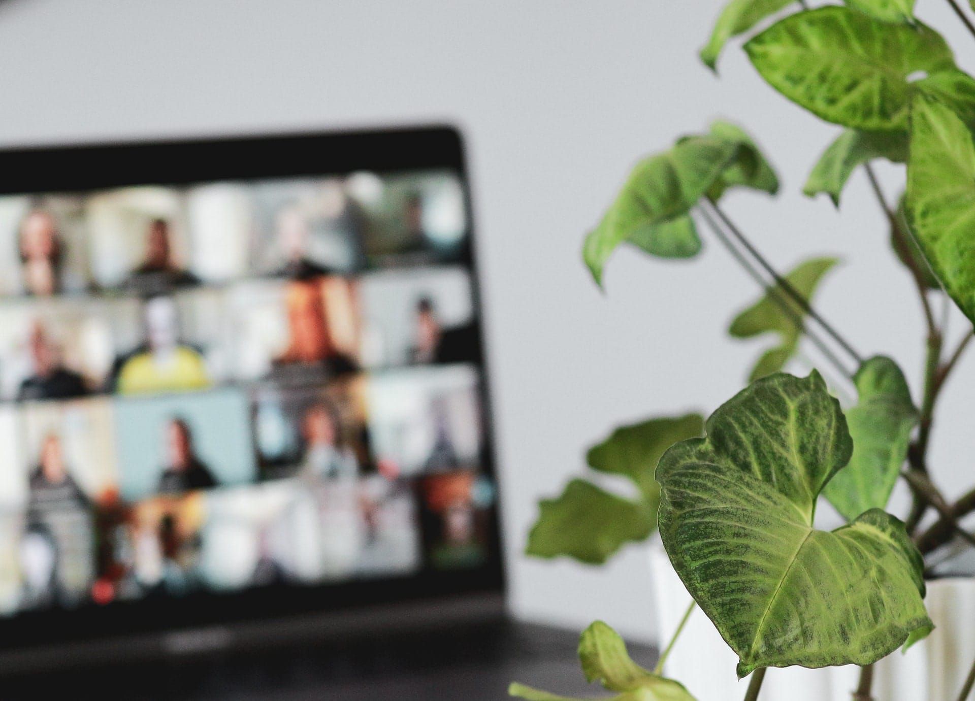 3 easy remote team building techniques