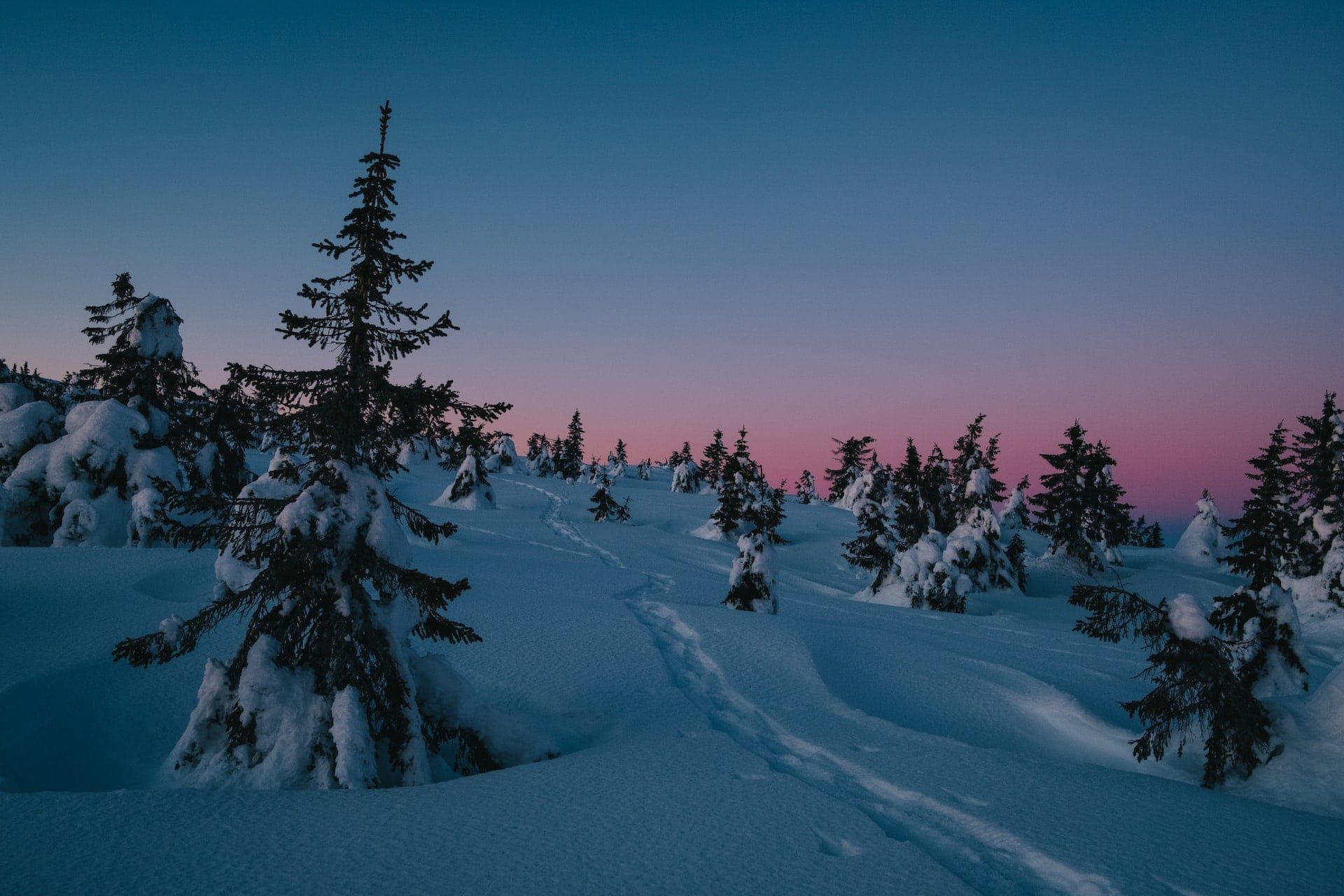 Inspiration and topics discussed in our MB.io tech community in January